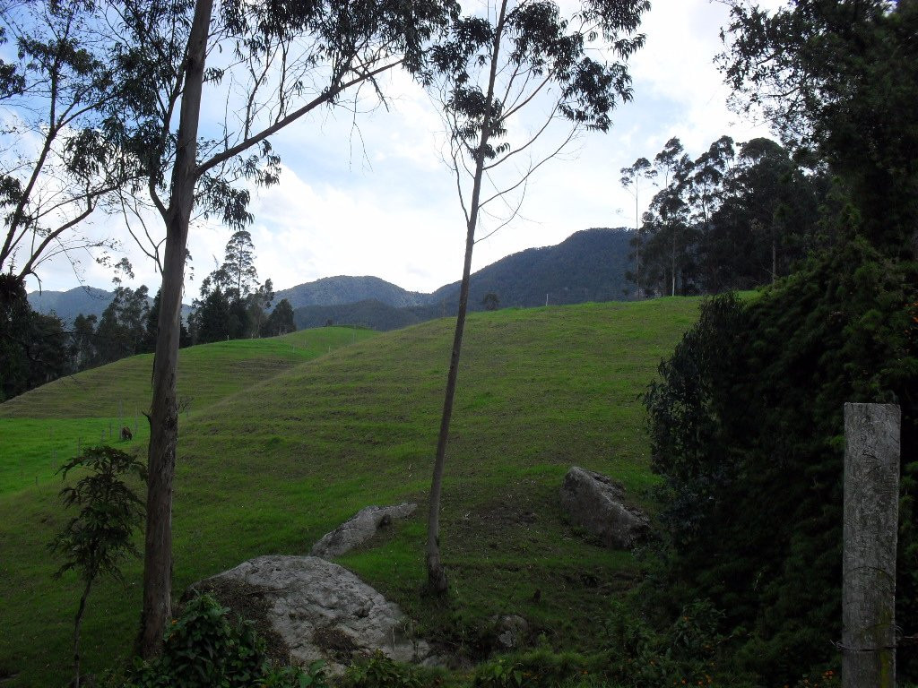 Parque Ecológico Jericó景点图片