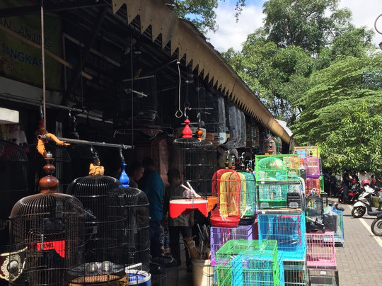 Taman Pasar Burung Depok-梭罗必去景点
