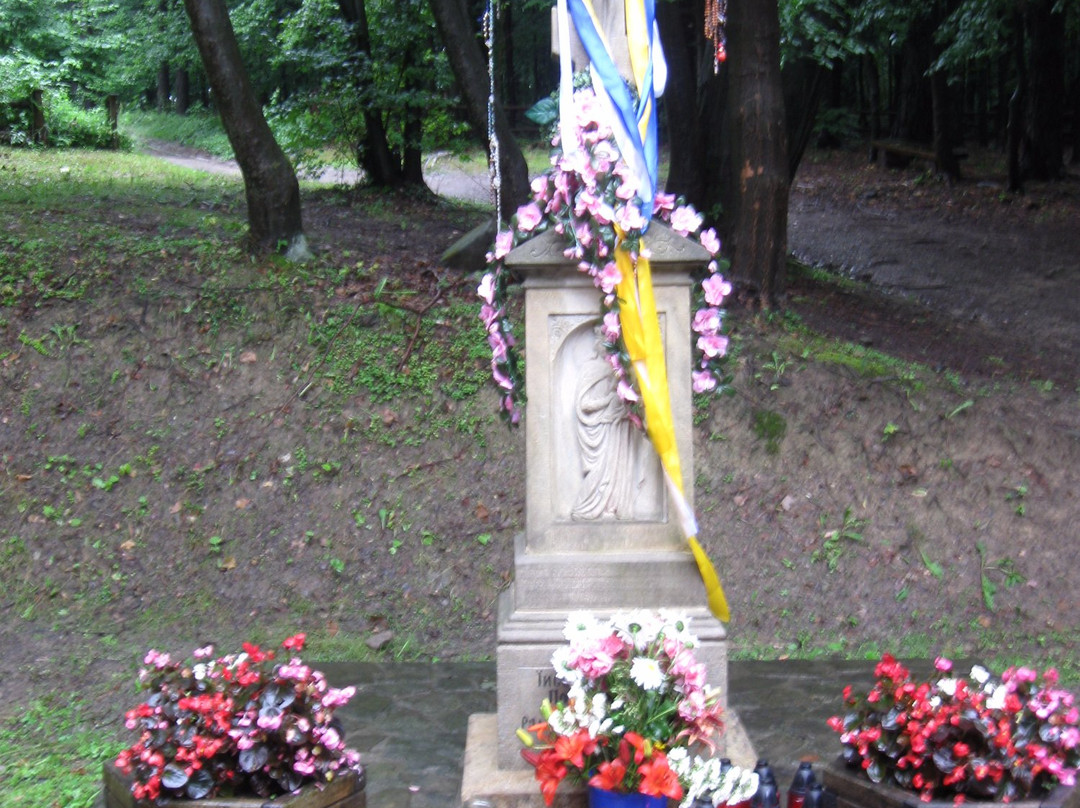 Święta Góra Jawor景点图片