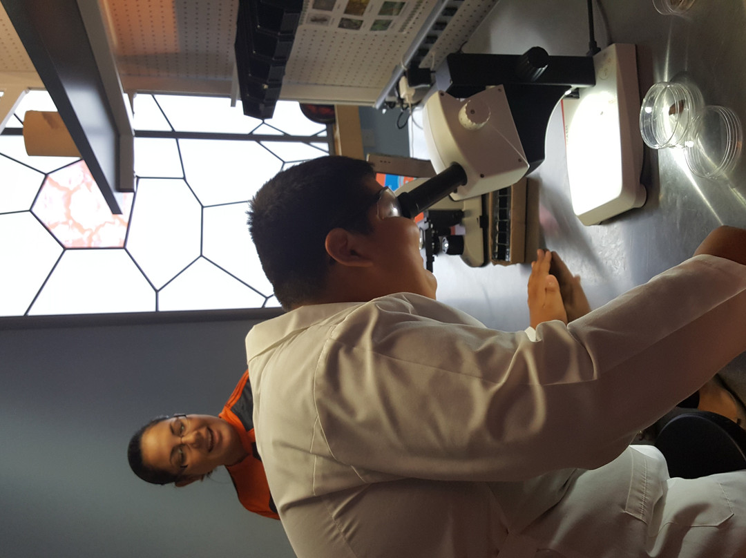 C3tec-Caguas必去景点