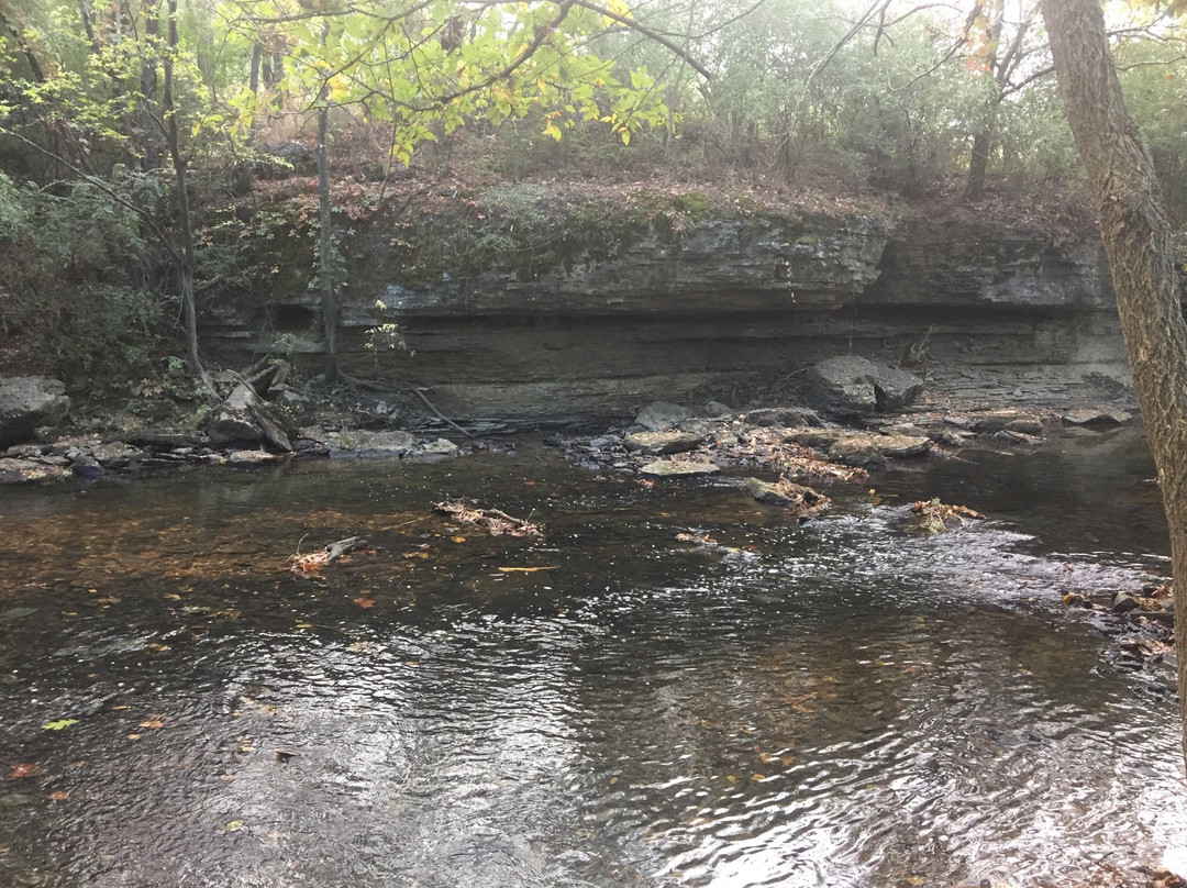 Lee Victory Recreation Park景点图片