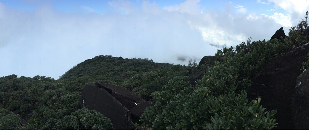 Mount Bartle Frere- 阿瑟顿必去景点