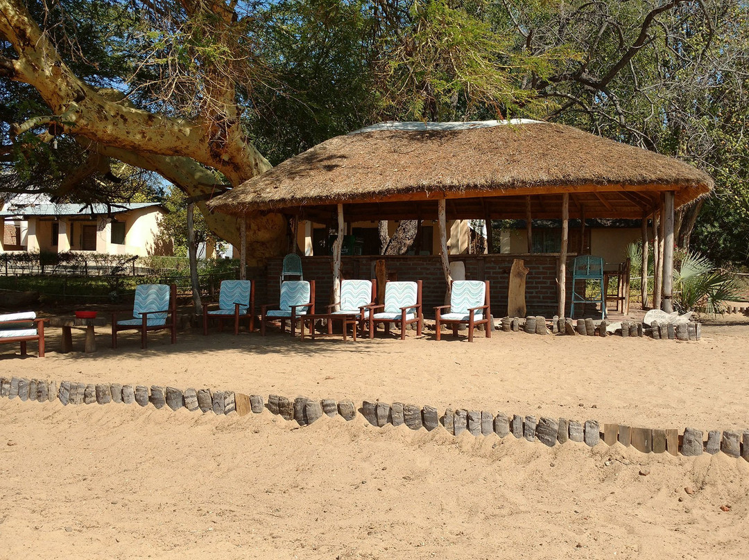 The Cichlids Lodge
