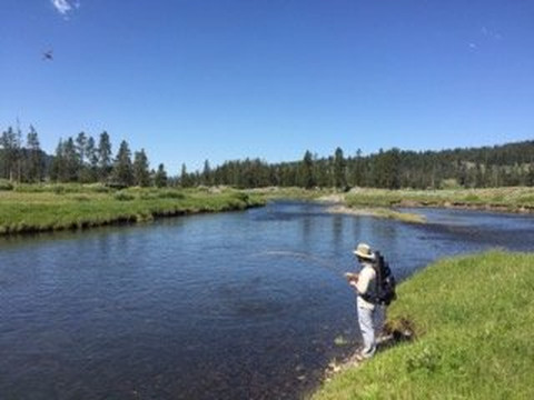 Madison River Outfitters-西黄石镇必去景点