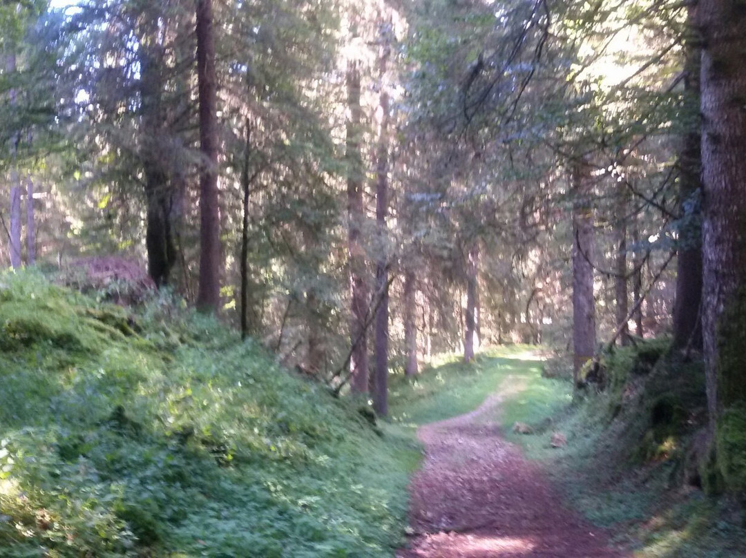 Nevegal旅游攻略图片