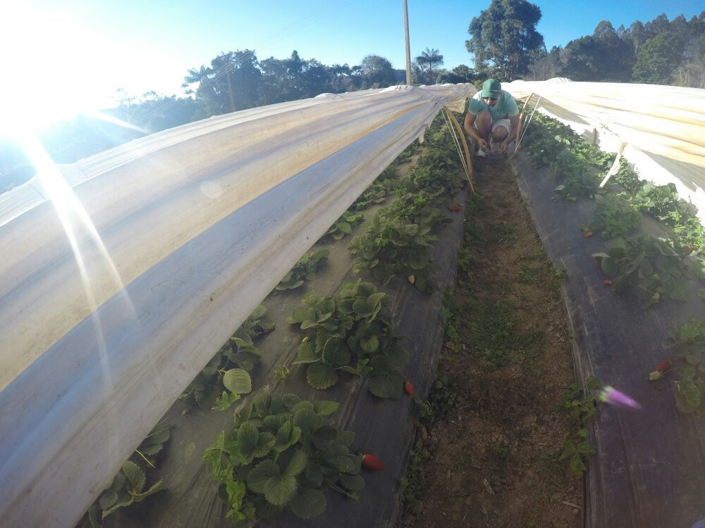 Sítio Herança Agroturismo-多明戈斯-马丁斯必去景点