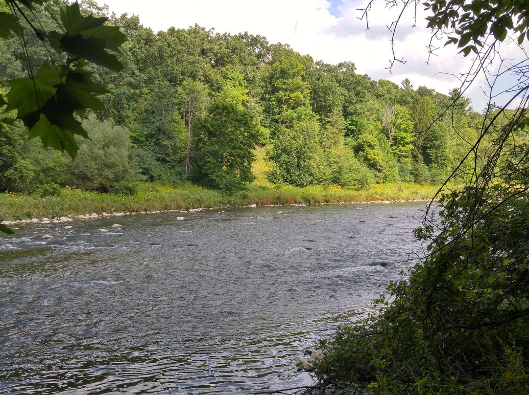 Kains Woods-伦敦必去景点