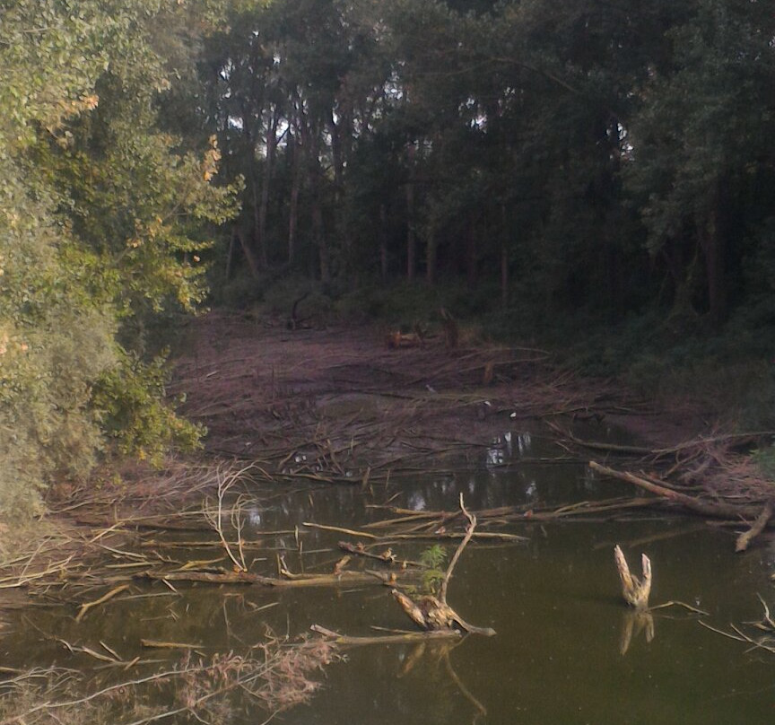 Riserva naturale orientata Parma Morta-Mezzani必去景点