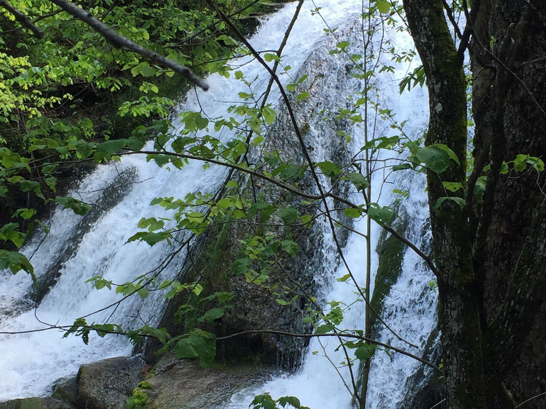 Roaring Run Falls-Eagle Rock必去景点