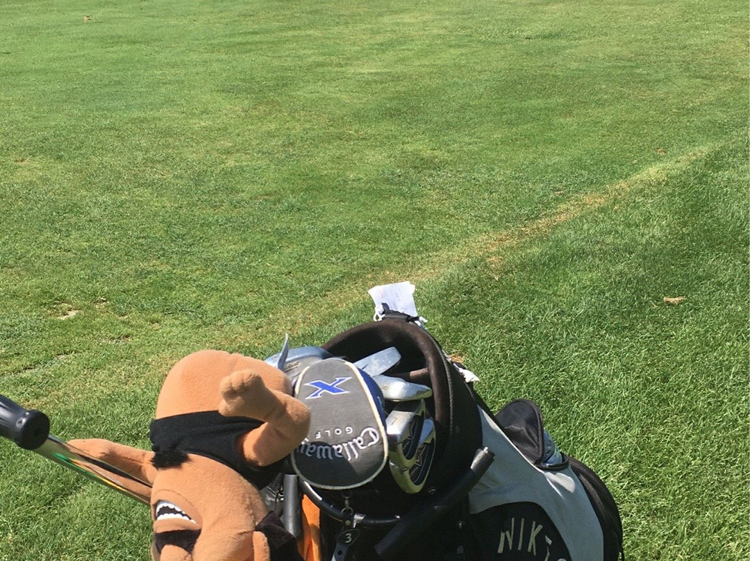 Cosmopolitan Golf & Country Club景点图片