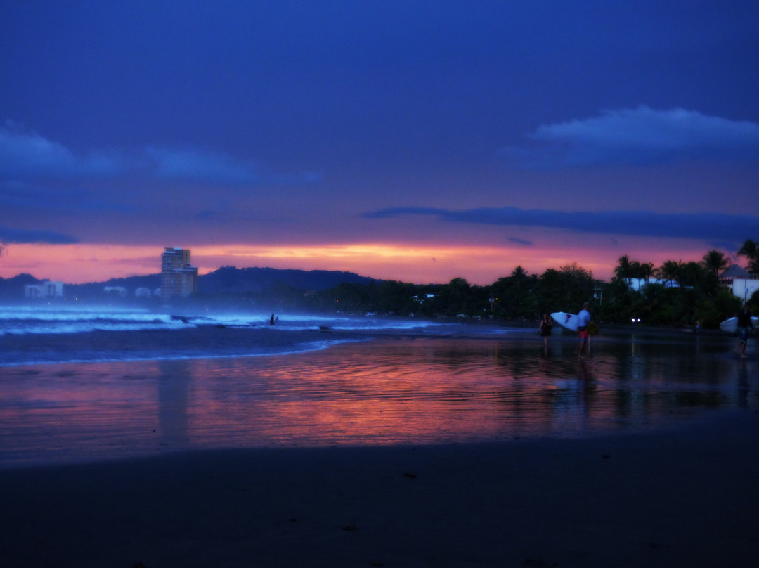 Soul Surf Surfing School景点图片