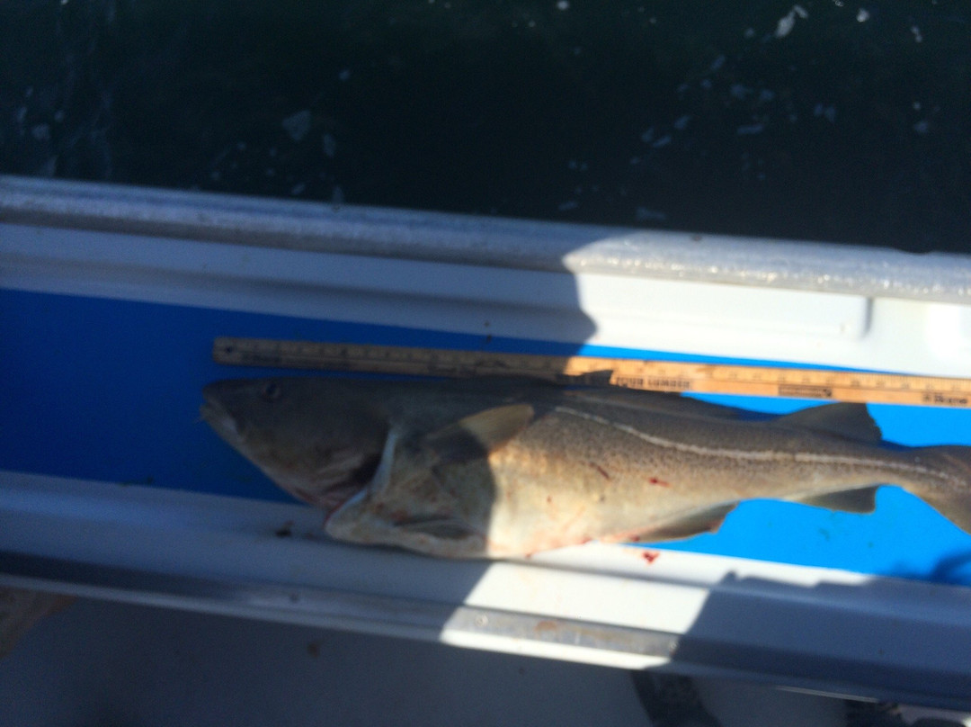 Bob's Deep Sea Fishing-North Rustico必去景点