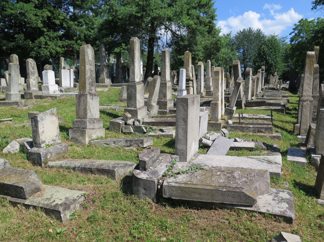 Moinesti Jewish Cemetery景点图片