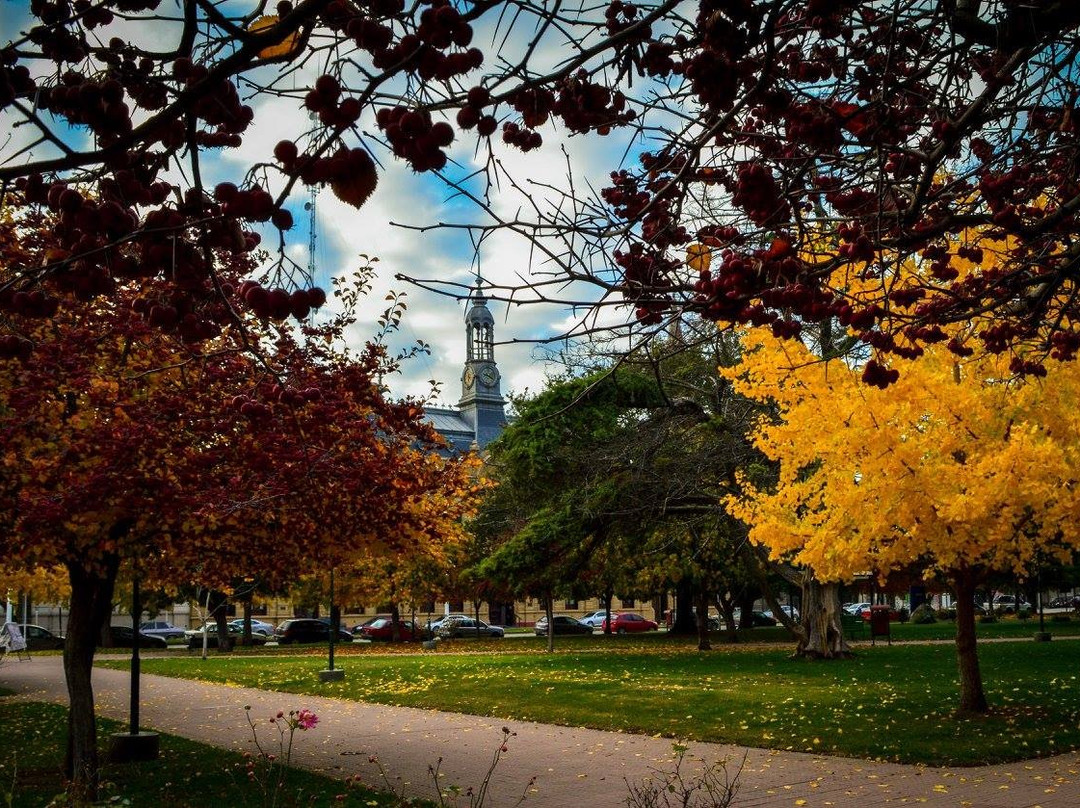 Coronel Suarez旅游攻略图片