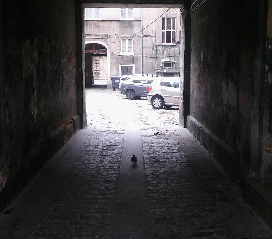 Reicher Synagogue-罗兹必去景点