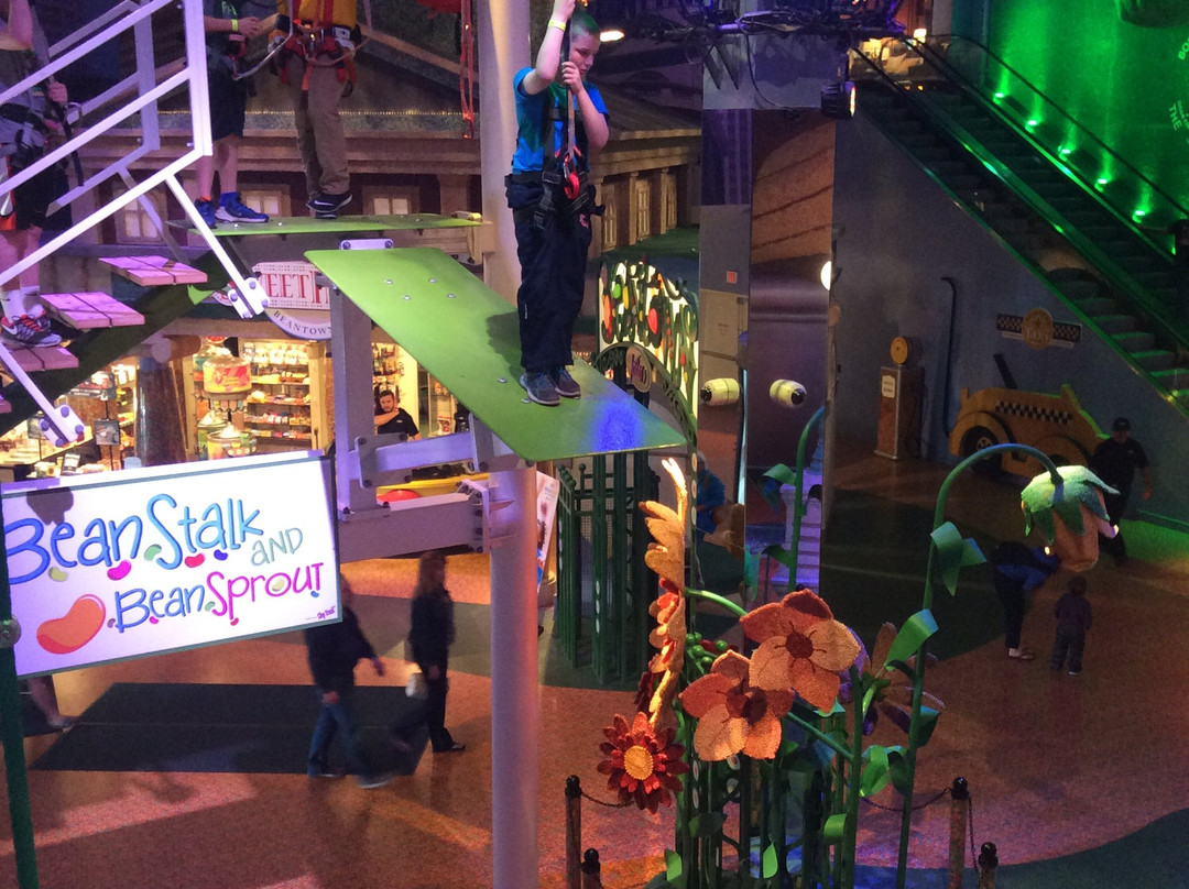 Beanstalk Adventure Ropes Course-Reading必去景点