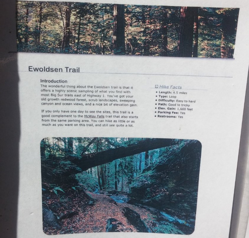 Ewoldsen Trail-大苏尔必去景点