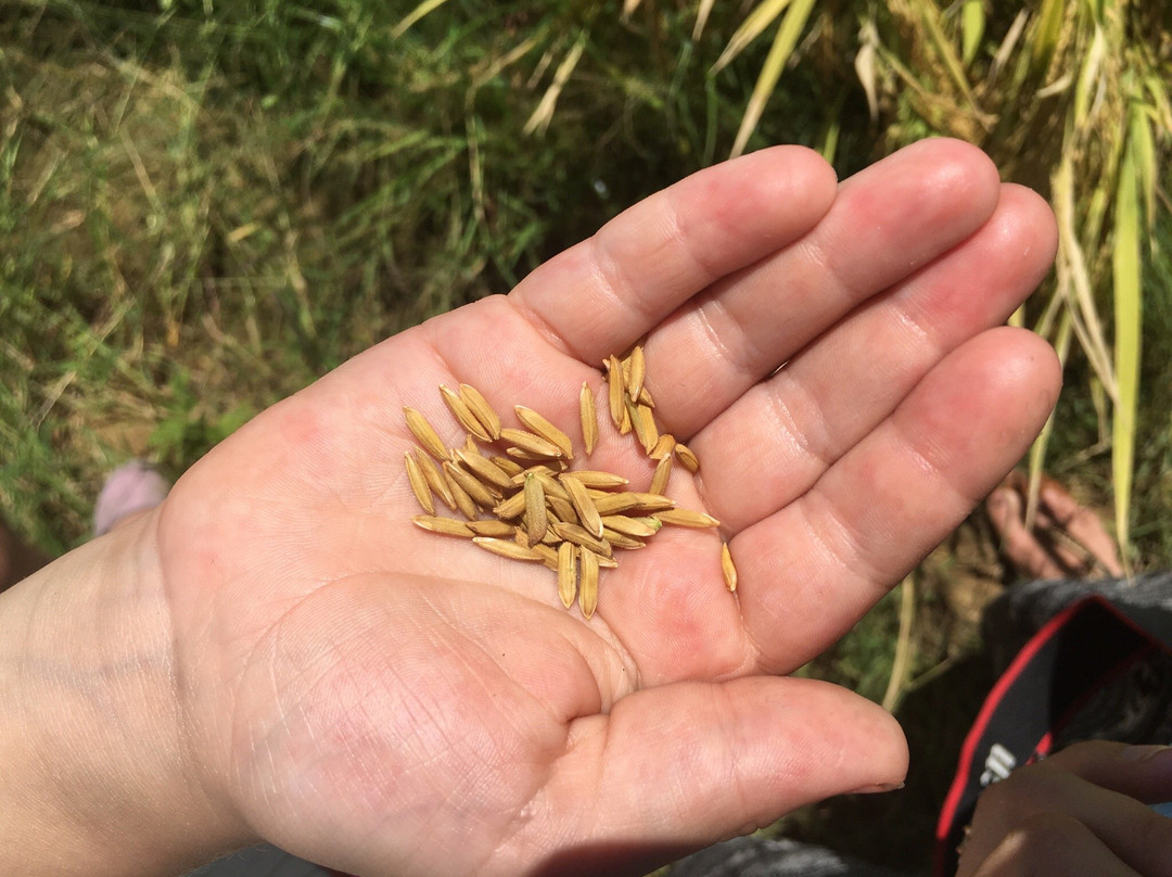 Vietnam Eco Adventure-河内必去景点