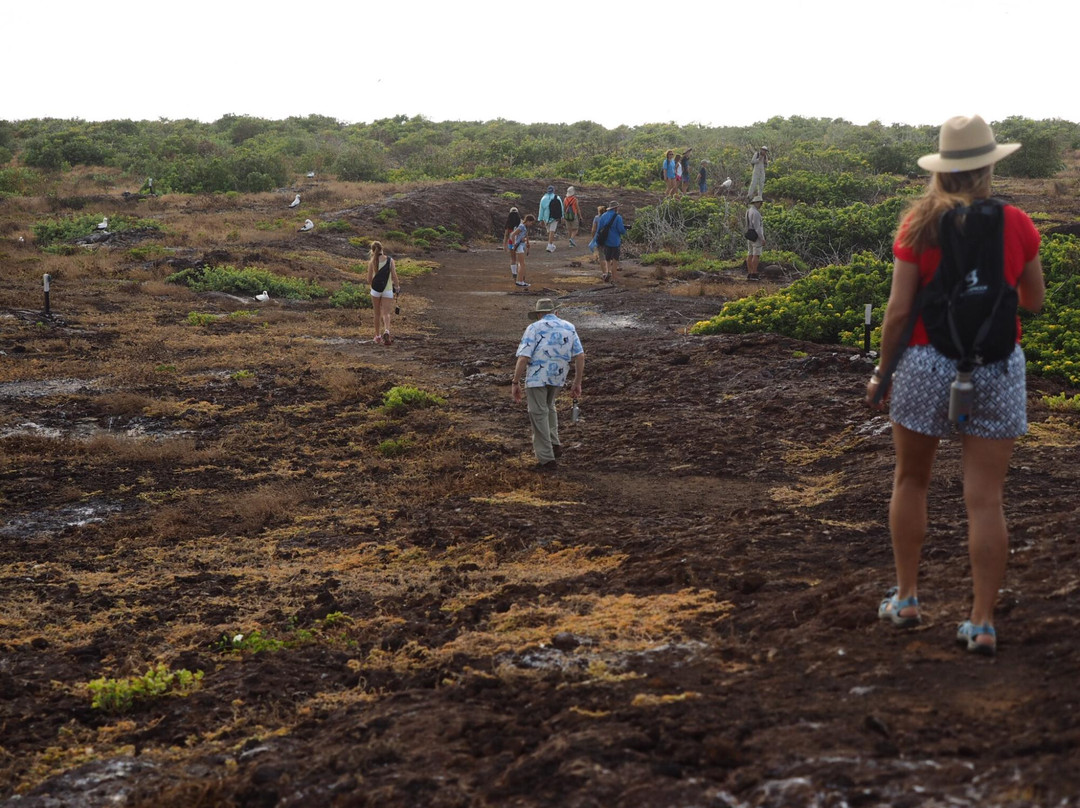 Darwin Trail-Genovesa必去景点