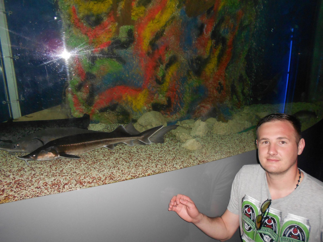 Anapskiy Okeanarium-阿纳帕必去景点