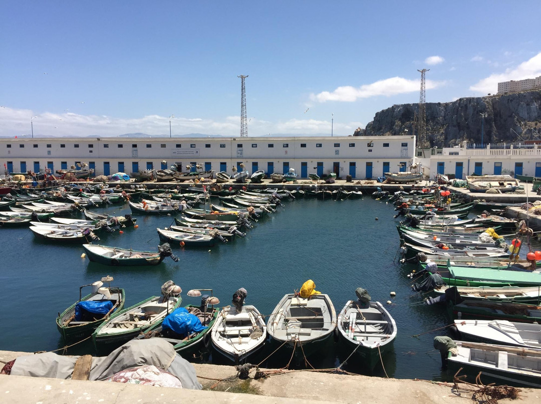 Port of Al Hoceima景点图片