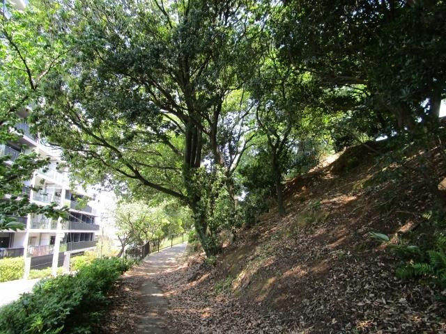 Sohara Park-福冈市必去景点