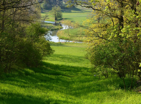 Rogalin旅游攻略图片