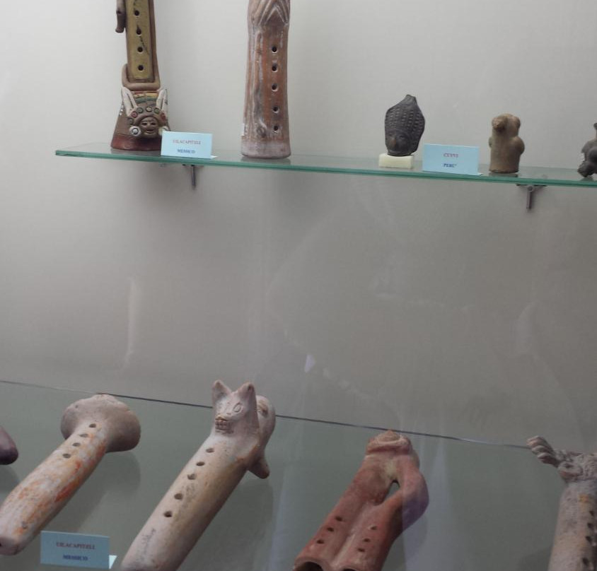 Museo degli Strumenti Etnico Musicali景点图片