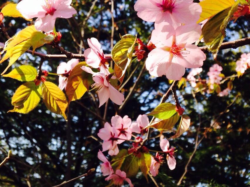 Memuro Park-芽室町必去景点