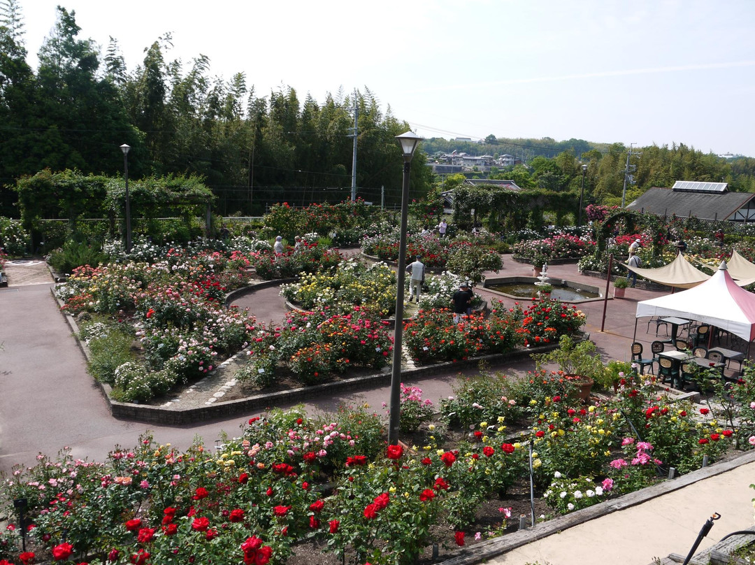 Osaka Prefecture Flower Garden-河内长野市必去景点