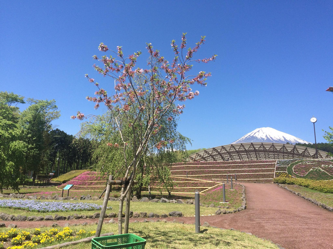 Fujisan Juku no Mori-御殿场市必去景点