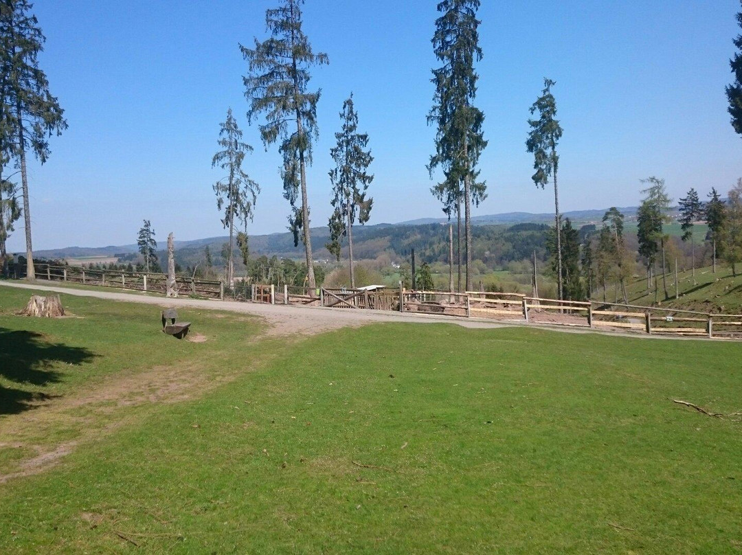Wildpark-Frankenberg必去景点