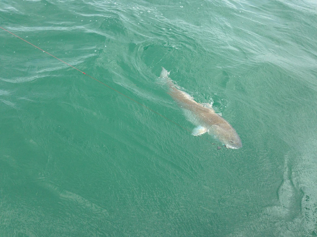 The Hook Up Charter-Hatteras必去景点