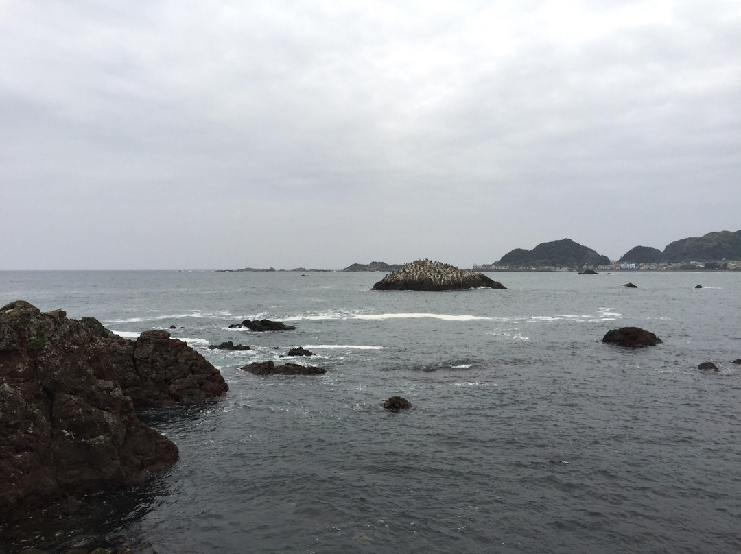 Kamogawa Matsushima-鸭川市必去景点
