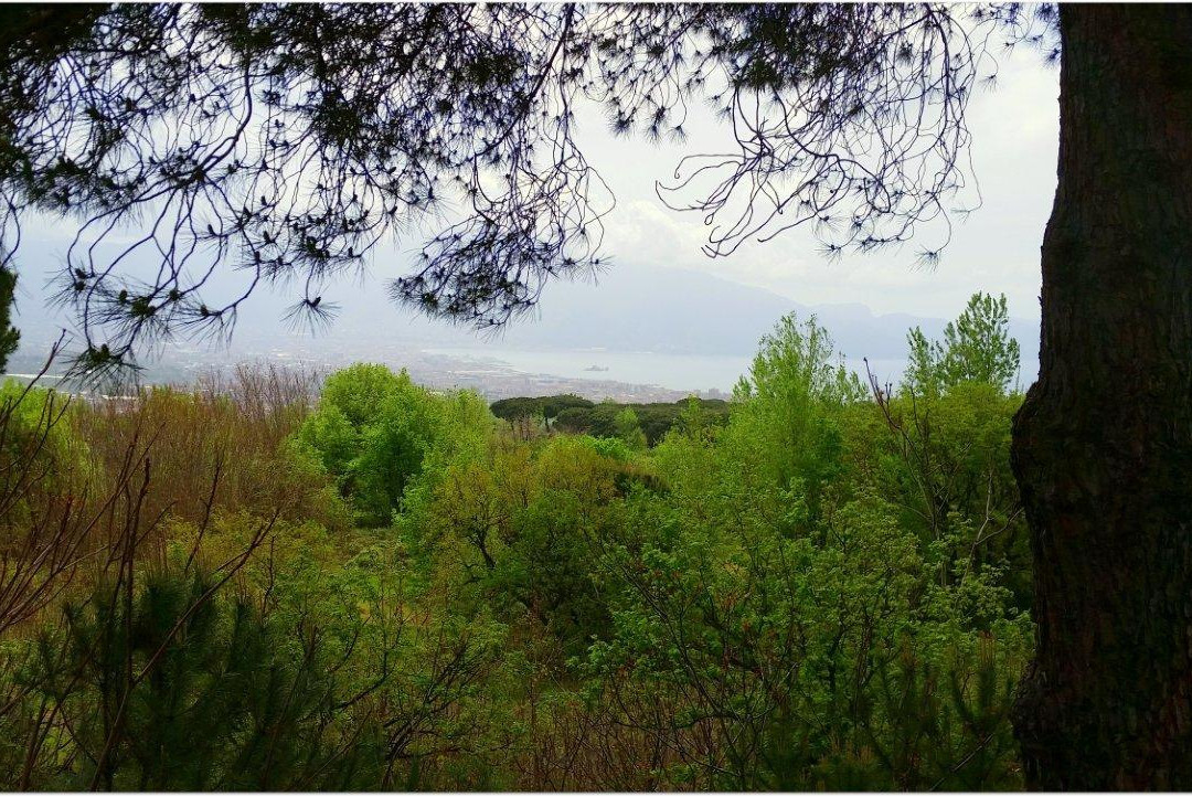 Boscotrecase旅游景点-Terre di Sylva Mala