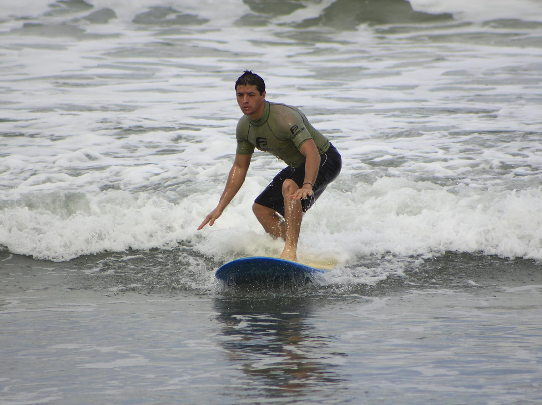 Zecão Surf School-乌巴图巴必去景点