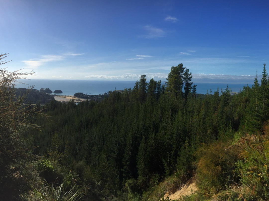 Kaiteriteri Mountain Bike Park景点图片