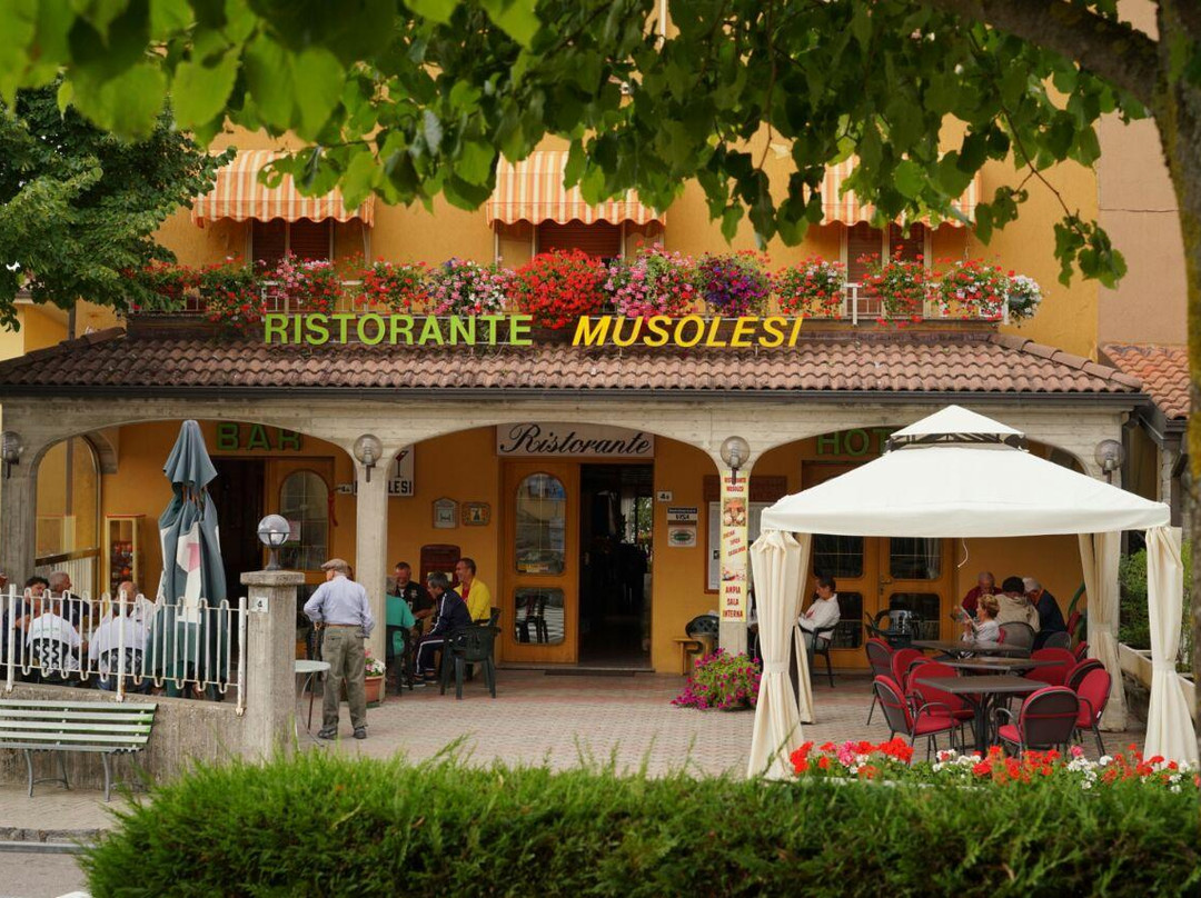 Hotel Musolesi主图