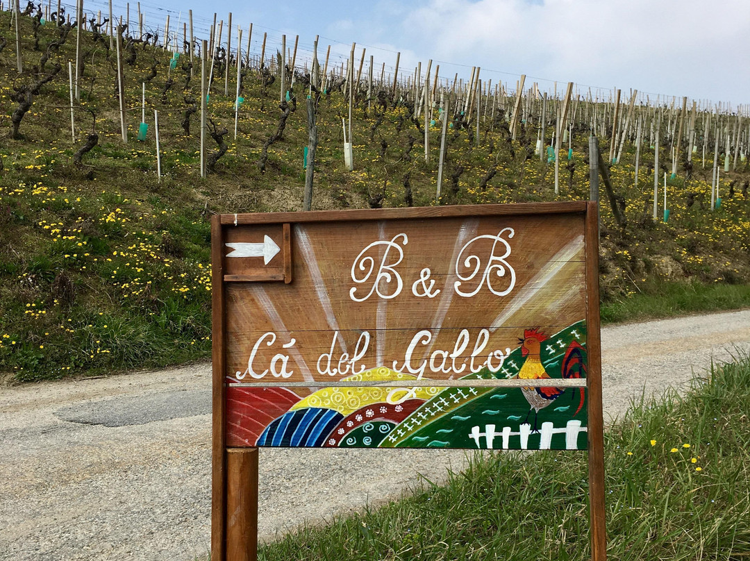 B&B Ca del Gallo in Langa主图