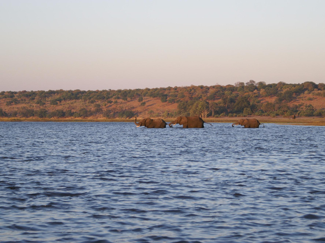 The Old House- Chobe Private activities and Safaris-卡萨尼必去景点