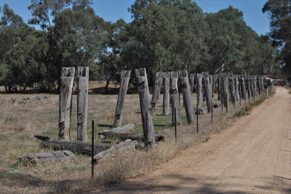 Great Victorian Rail Trail-维多利亚必去景点