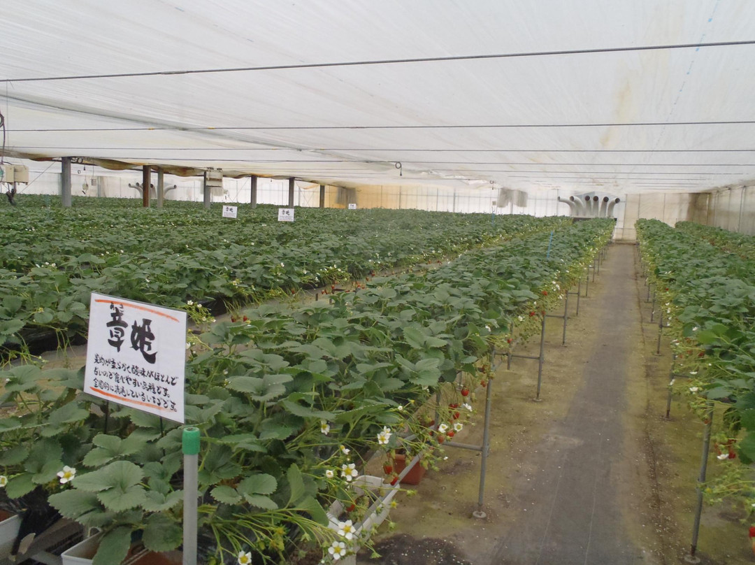 フルーツランド白根グレープガーデン ジェラートショップMellow主图