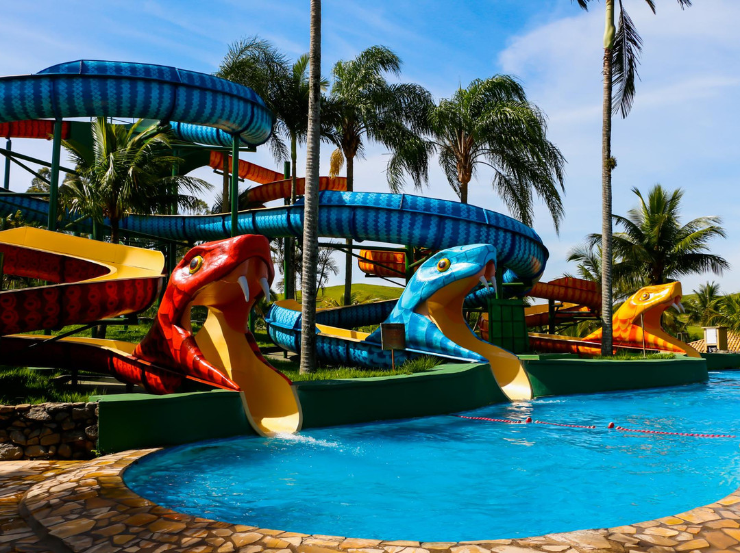 Aldeia Das Aguas Water Park景点图片