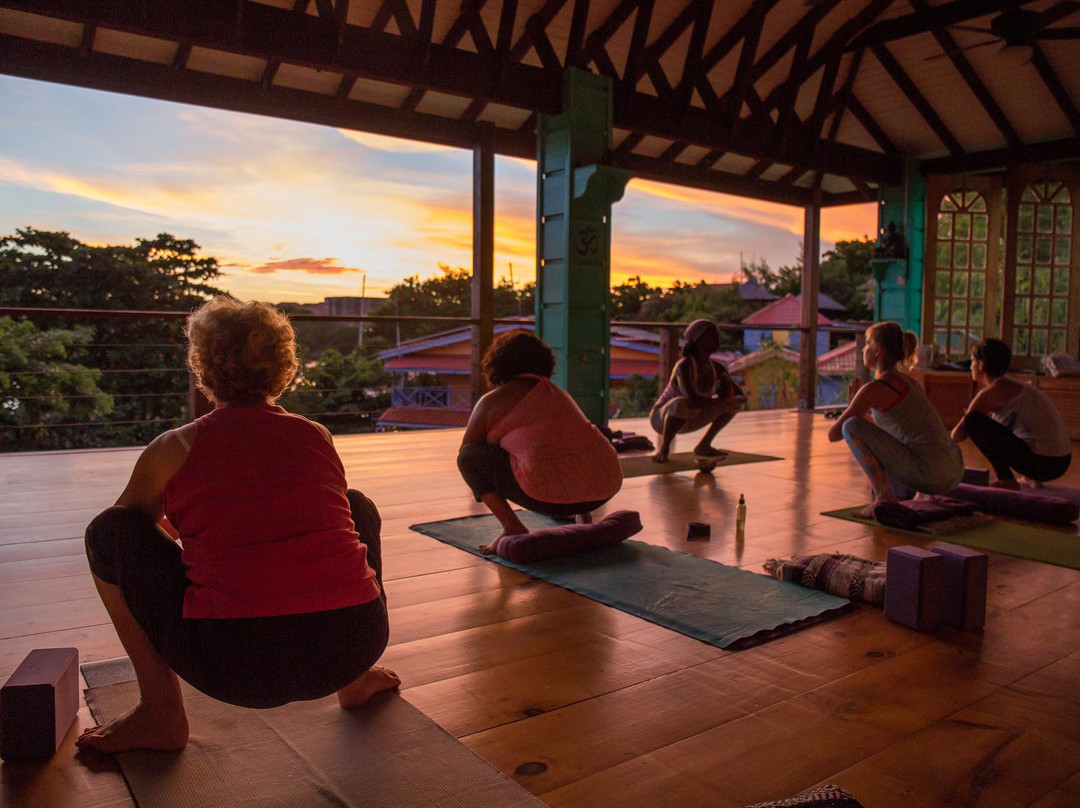 Sankalpa Yoga Studio景点图片