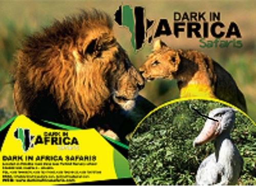 Dark in Africa Safaris