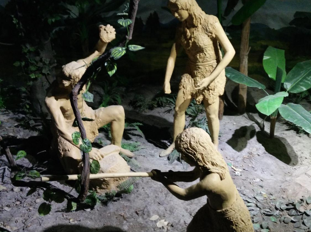 玉林博物馆景点图片