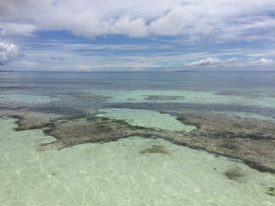 Nickles Park Resort主图