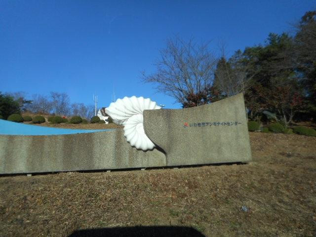 Tamuraya Ryokan主图