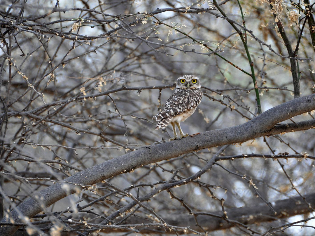 Universidad de Piura-Piura必去景点