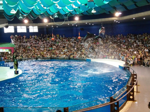 南京海底世界-南京市必去景点